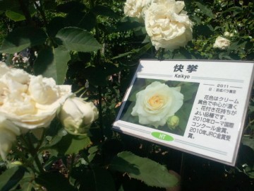 2013052415070000.jpg