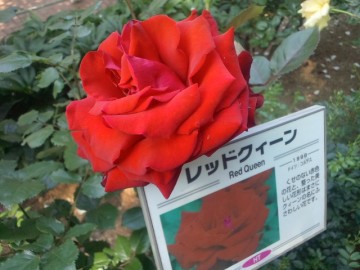 2013052415170001.jpg