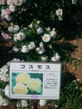 2013052415270000.jpg