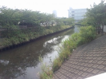 2013081315000000.jpg