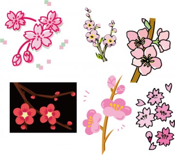 umemomosakura